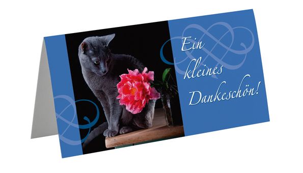 Grusskarte Katze Dankeschön